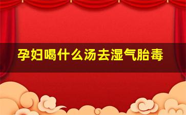 孕妇喝什么汤去湿气胎毒