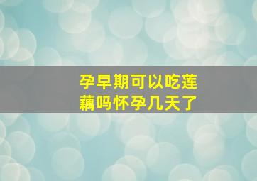 孕早期可以吃莲藕吗怀孕几天了