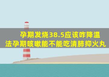 孕期发烧38.5应该咋降温法孕期咳嗽能不能吃清肺抑火丸