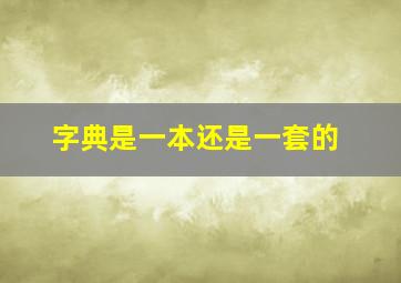 字典是一本还是一套的