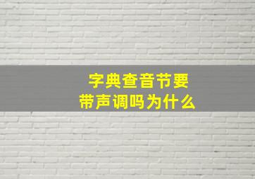 字典查音节要带声调吗为什么