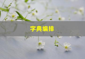 字典编排