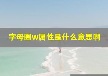 字母圈w属性是什么意思啊