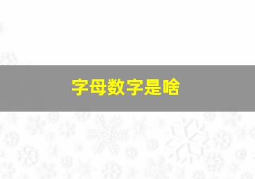 字母数字是啥