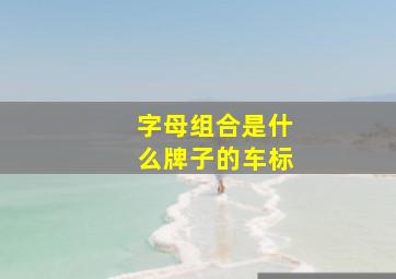 字母组合是什么牌子的车标