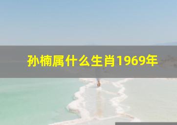 孙楠属什么生肖1969年