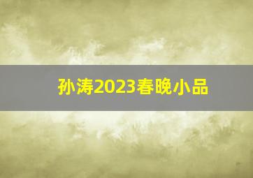 孙涛2023春晚小品