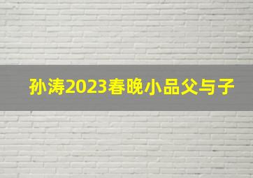 孙涛2023春晚小品父与子