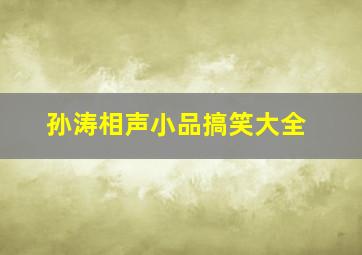 孙涛相声小品搞笑大全