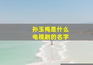 孙玉梅是什么电视剧的名字