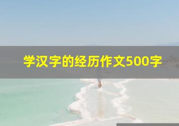 学汉字的经历作文500字