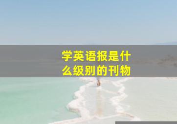 学英语报是什么级别的刊物