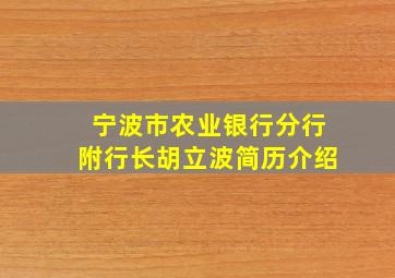 宁波市农业银行分行附行长胡立波简历介绍