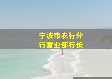 宁波市农行分行营业部行长