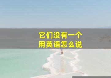 它们没有一个用英语怎么说