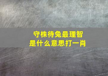 守株待兔最理智是什么意思打一肖