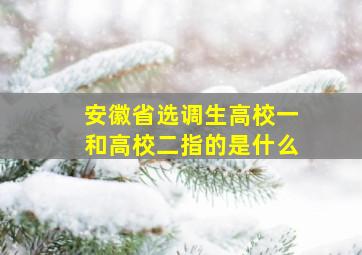 安徽省选调生高校一和高校二指的是什么