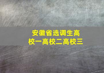 安徽省选调生高校一高校二高校三