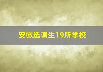 安徽选调生19所学校