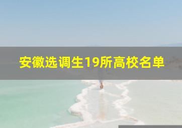 安徽选调生19所高校名单