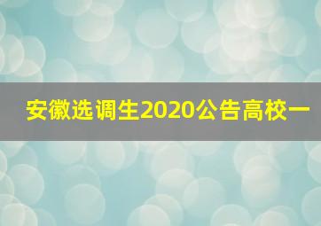 安徽选调生2020公告高校一