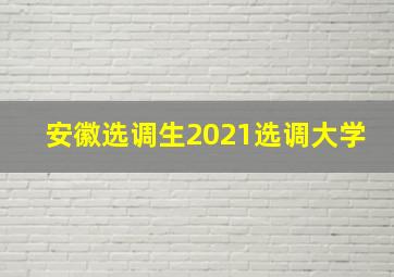 安徽选调生2021选调大学