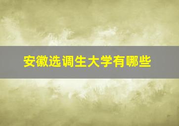 安徽选调生大学有哪些