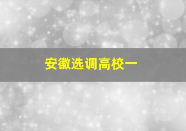 安徽选调高校一