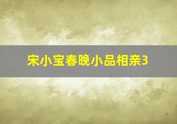 宋小宝春晚小品相亲3