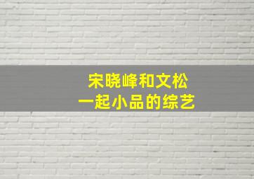 宋晓峰和文松一起小品的综艺