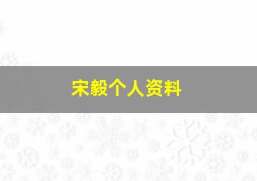 宋毅个人资料