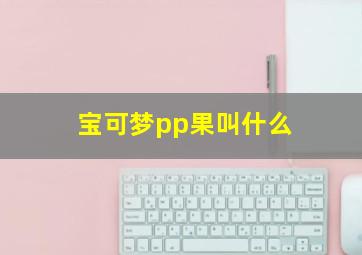 宝可梦pp果叫什么