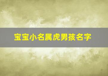 宝宝小名属虎男孩名字