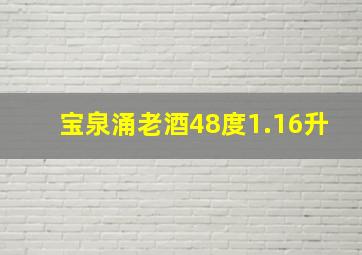 宝泉涌老酒48度1.16升