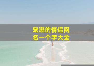 宠溺的情侣网名一个字大全