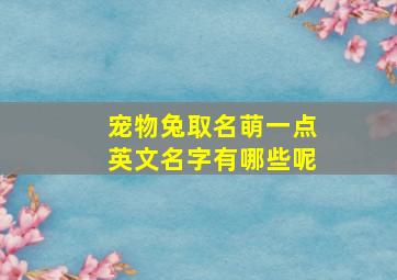 宠物兔取名萌一点英文名字有哪些呢