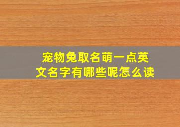 宠物兔取名萌一点英文名字有哪些呢怎么读