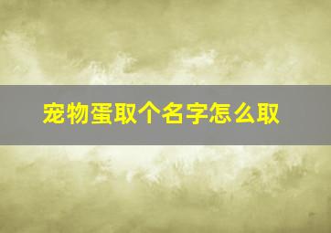 宠物蛋取个名字怎么取