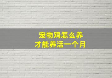 宠物鸡怎么养才能养活一个月