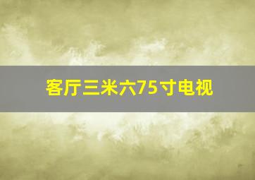 客厅三米六75寸电视