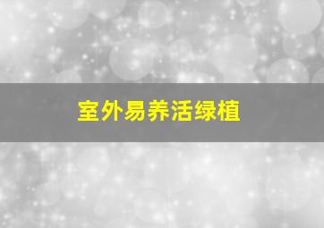 室外易养活绿植