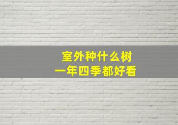 室外种什么树一年四季都好看