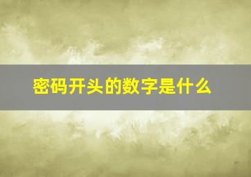 密码开头的数字是什么