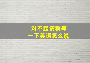 对不起请稍等一下英语怎么说