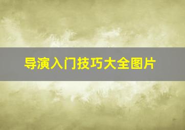 导演入门技巧大全图片