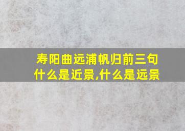 寿阳曲远浦帆归前三句什么是近景,什么是远景