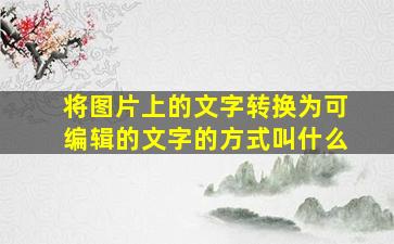 将图片上的文字转换为可编辑的文字的方式叫什么