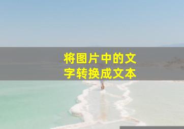 将图片中的文字转换成文本