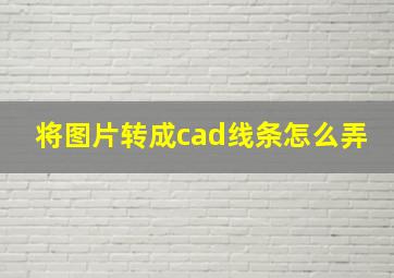 将图片转成cad线条怎么弄