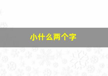 小什么两个字